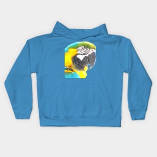 Macaw Portrait Kids Hoodie